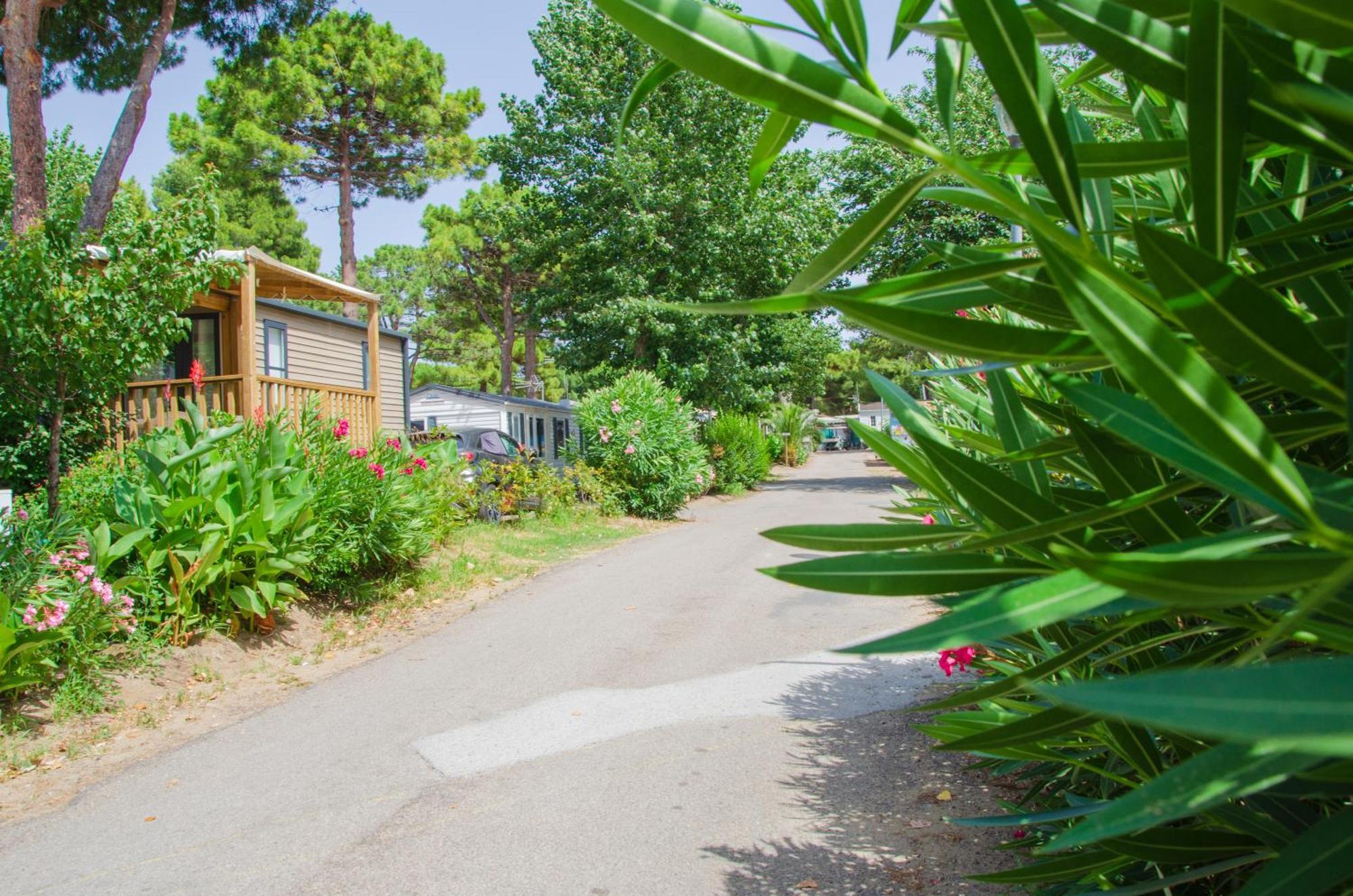 Camping Les Jardins D Agathe Le Grau-dʼAgde Zewnętrze zdjęcie