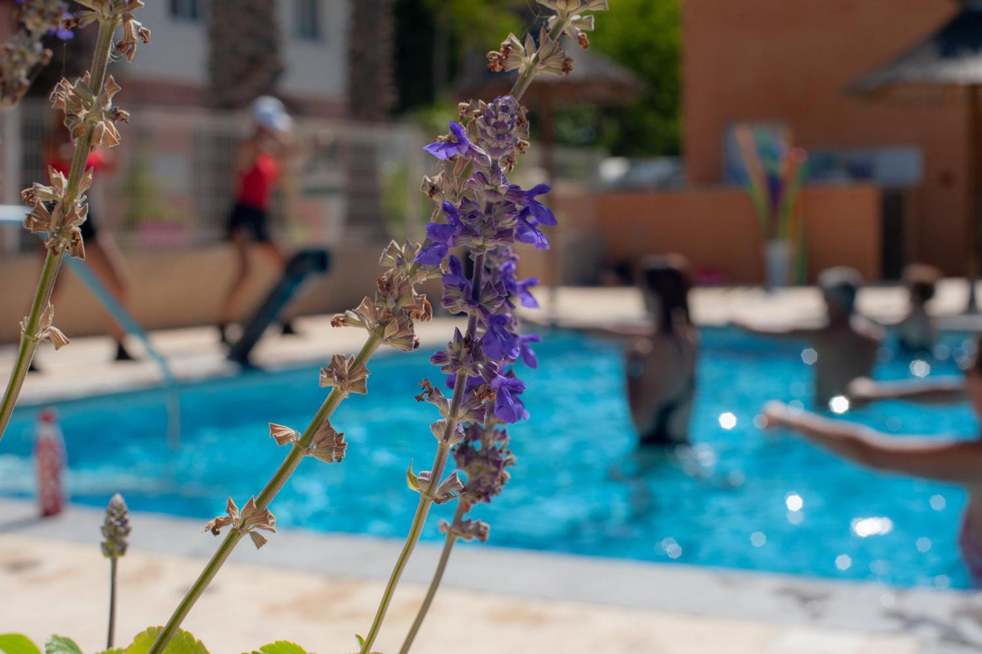 Camping Les Jardins D Agathe Le Grau-dʼAgde Zewnętrze zdjęcie