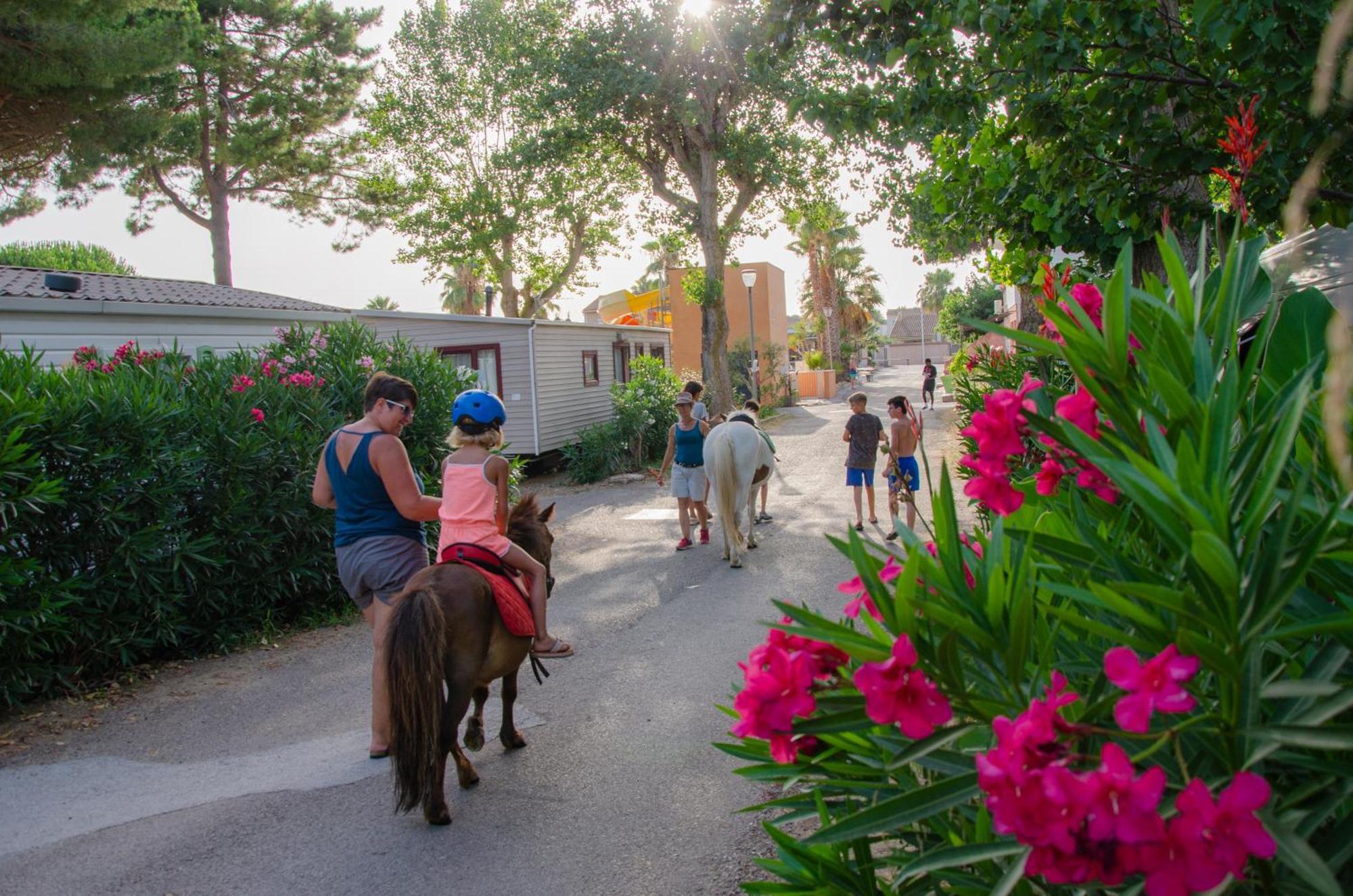 Camping Les Jardins D Agathe Le Grau-dʼAgde Zewnętrze zdjęcie